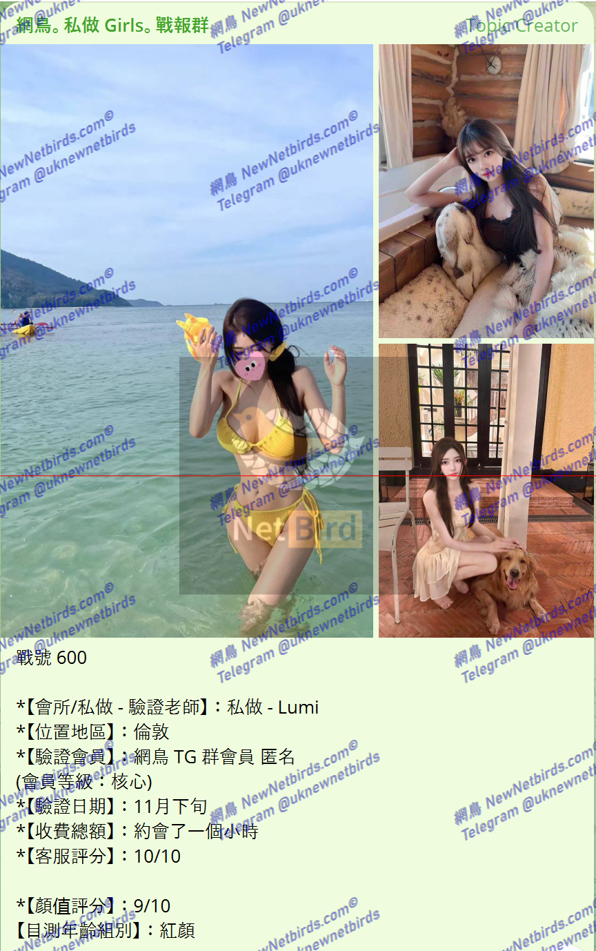 戰號 600 1.png